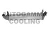 AUTOGAMMA 105784 Intercooler, charger